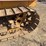 caterpillar-fifteen-image-10