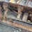 caterpillar-thirty-image-8