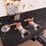 #1089-•-2015-rotair-d-185-t4i-towable-air-compressor-image-15