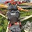 farm-king-1336-image-6