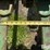 john-deere-e1600-3-pt-10'-stick/root-rake-image-18