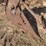 horse-drawn-roll-over-plow-image-10