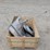 freight-truck-lot---see-description-image-11
