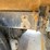 #1503-•-2018-international-7600-quad-axle-dump-truck-(has-wi-title)-with-accessories-image-17
