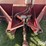 loftness-90"-3-pt-snow-blower-image-12