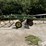 john-deere-712-pull-type-12'-disk-chisel-ripper-image-4