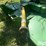 john-deere-mx8-2-pt-rotary-cutter-image-11