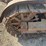 caterpillar-thirty-image-9