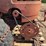 david-bradley-garden-tractor-image-7