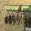 john-deere-400-3-pt-rotary-hoe-image-19
