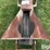 chantland-sr30-30'-electric-seed-belt-conveyor-image-12