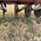 international-510-disc-drill-image-16
