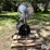 industrial-free-standing-&-squirrel-cage-fans-image-6