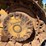 2020-caterpillar-d1-image-12