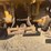 caterpillar-fifteen-image-26