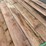 ~189--dog-ear-cedar-fencing-pieces-image-15