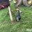 rhino-hphd-post-hole-auger-image-2