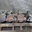 6"-hd-albion-caster-wheels-w/-sb-container-locks-image-3