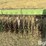 john-deere-400-3-pt-rotary-hoe-image-18