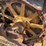 caterpillar-thirty-image-14