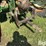 1968-oliver-1650-2wd-tractor-image-20