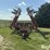 case-ih-4800-vibra-shank-field-cultivator-image-2