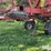 case-ih-4300fc-24'-vibra-shank-field-cultivator/harrow-image-19