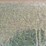 artificial-grass-turf-image-4