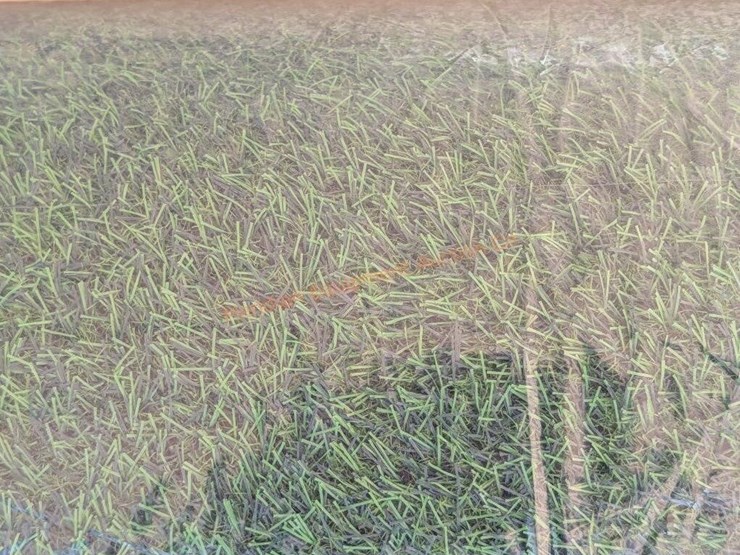 artificial-grass-turf-image-4
