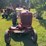 1948-farmall-cub-image-9