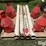 drain-inlets,-grain-aerators/dryers-&-auger-points-image-14