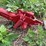 oliver-two-bottom-plow-image-5