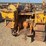 caterpillar-thirty-image-16