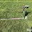 john-deere-3-pt-bale-carrier-w/-trailer-hitch-image-8