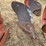 oliver-three-bottom-vineyard-plow-image-17