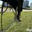 2019-lamar-dl831427-t/a-dump-trailer-image-9