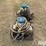 neptune-center-pivot-irrigation-chemical-fertilizer-pumps-image-8