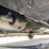 #1521-•-2021-chrysler-voyager-mini-van-(has-wi-title)-image-16