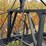 pan-scraper-image-15