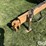 big-dog-s6.5-pull-type-scraper-image-10