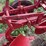 oliver-two-bottom-plow-image-16