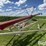buhler-/-farm-king-1070-swing-away-hopper-auger-image-19