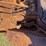 caterpillar-ten-image-31