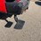 #1525-•-2021-ford-f-250-xl-pickup-truck-(has-wi-title)-image-28