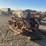 caterpillar-thirty-image-2