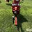 buhler-/-farm-king-1070-swing-away-hopper-auger-image-12