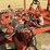 richardson-ae-4-30-4-6x5-sweep-plow-w/sunflower-pickers-image-17