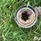 rhino-hphd-post-hole-auger-image-9