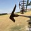 2014-orthman-910-476-35'-fallowmaster-image-16