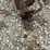 speed-king-truck-auger-image-10